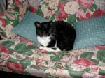 13_October_21_2003