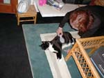20_May_02_2004