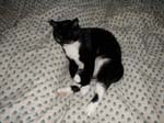 21_May_07_2004