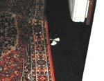 34_March_26_2005
