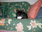 44_September_13_2006