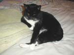 47_January_07_2007