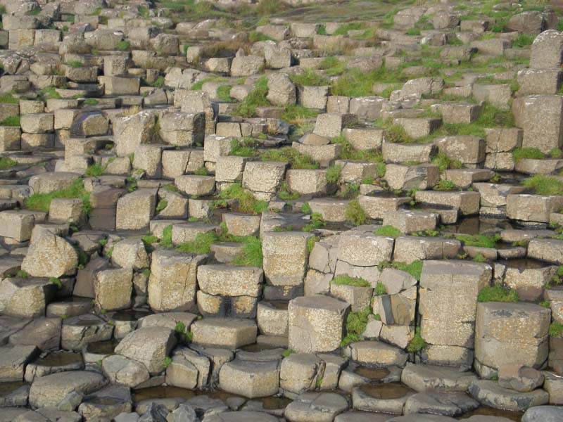 11purely_artistic_shot