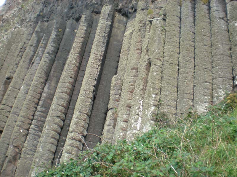 30organ_pipes