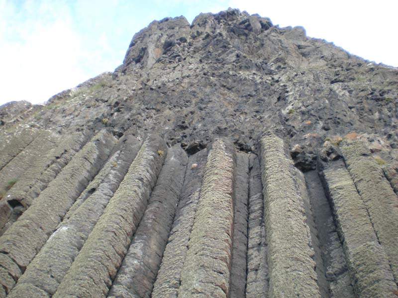 31looking_up_organ_pipes