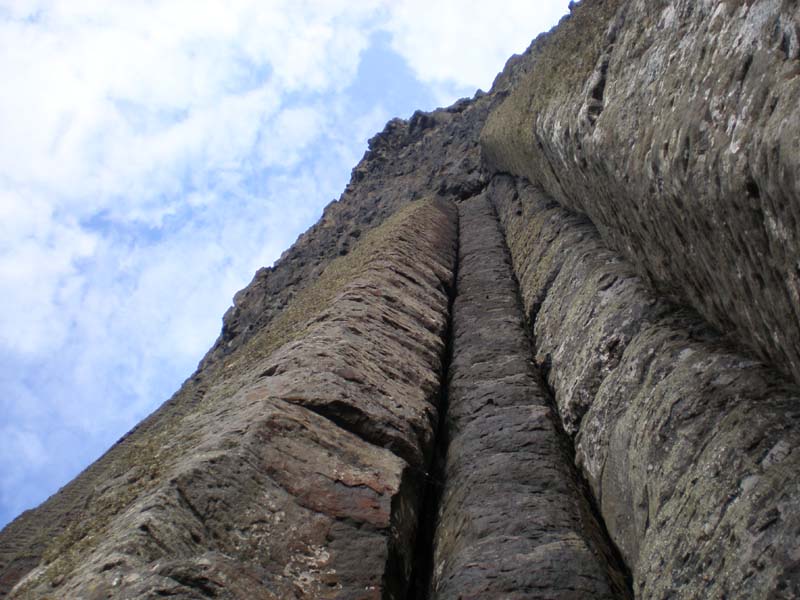 32looking_up_organ_pipes
