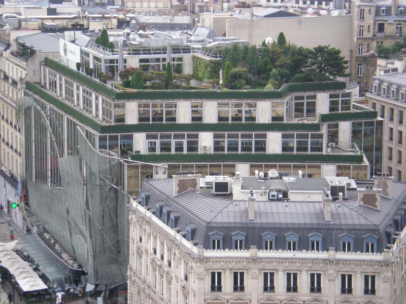 zoom to roof garden