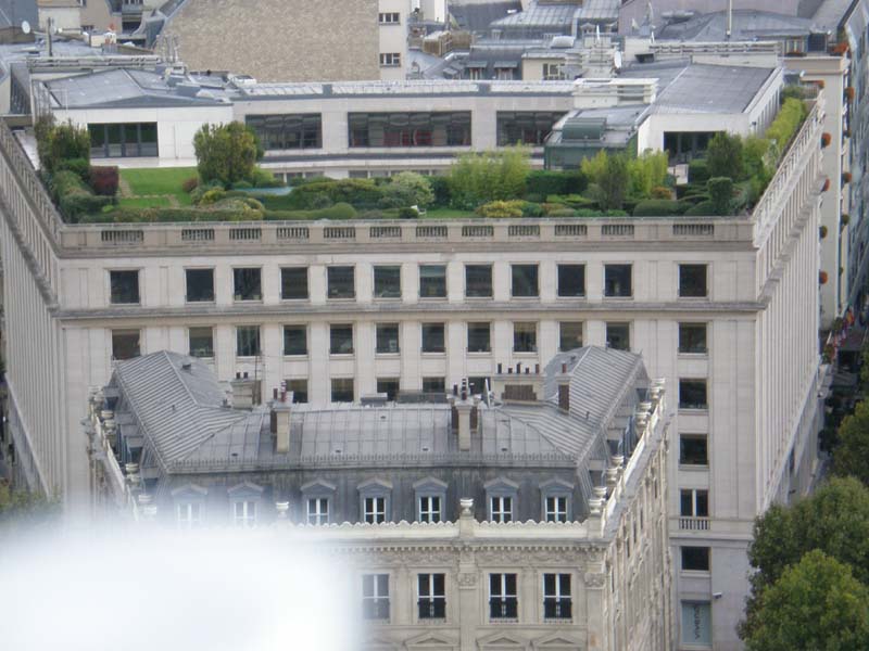 zoom to roof garden