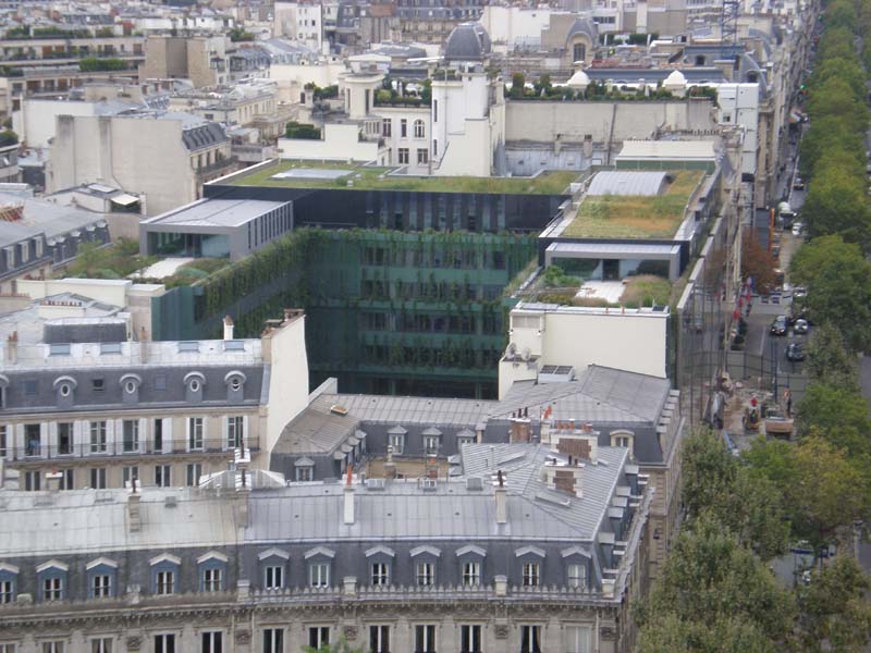zoom to green roof