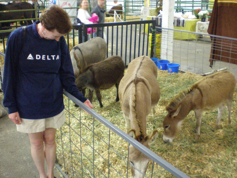 23Sue_with_donkeys