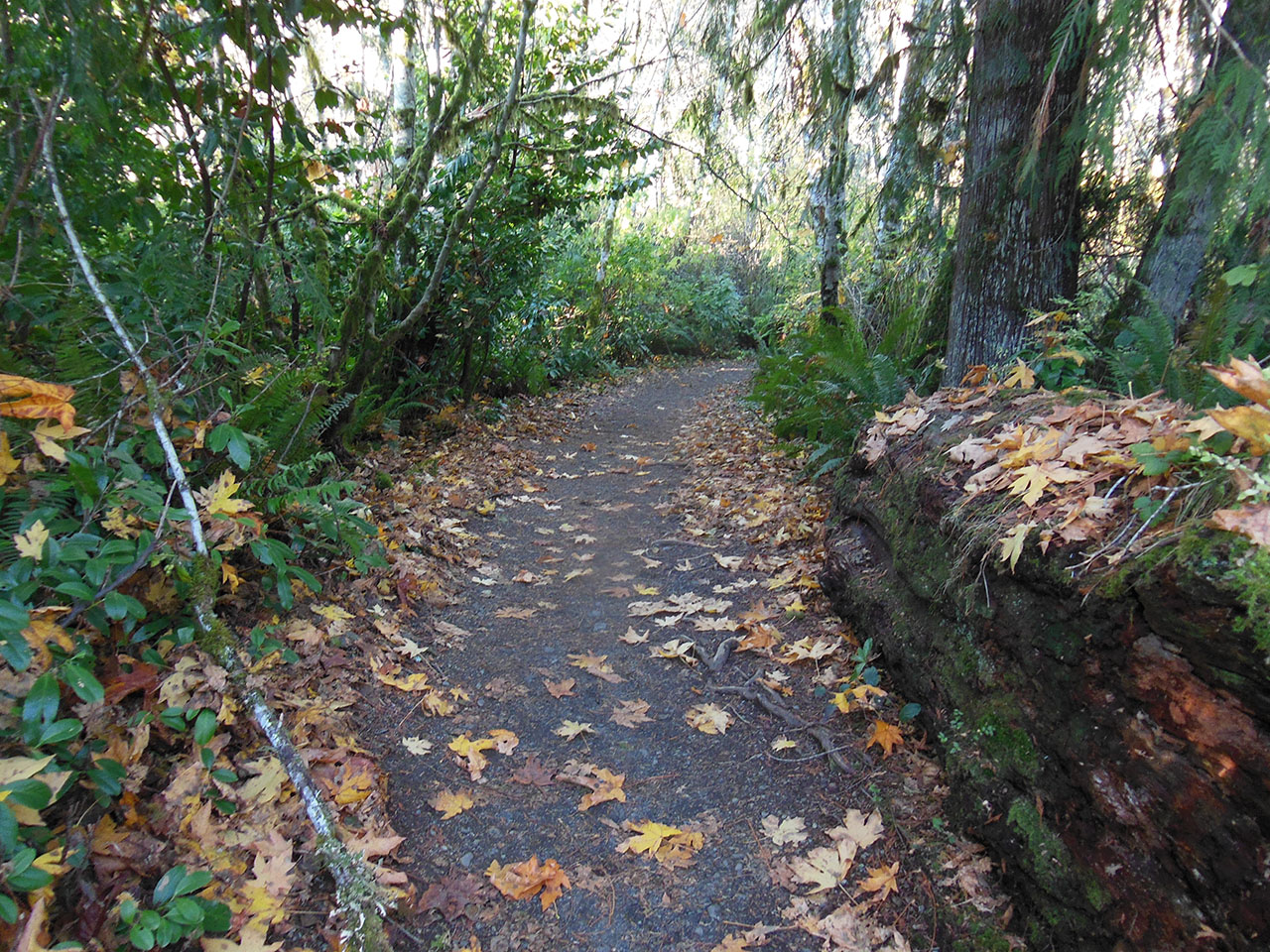 Trail 04