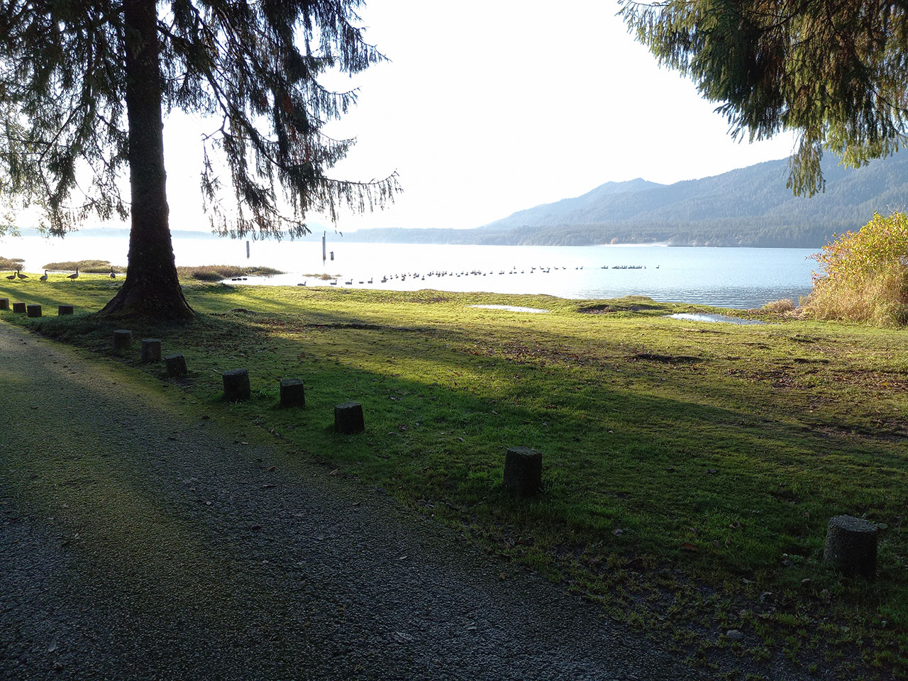 Rain Forest Resort Village 11