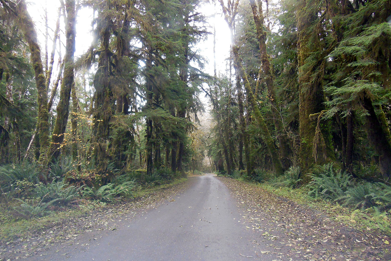 South Shore Road 22