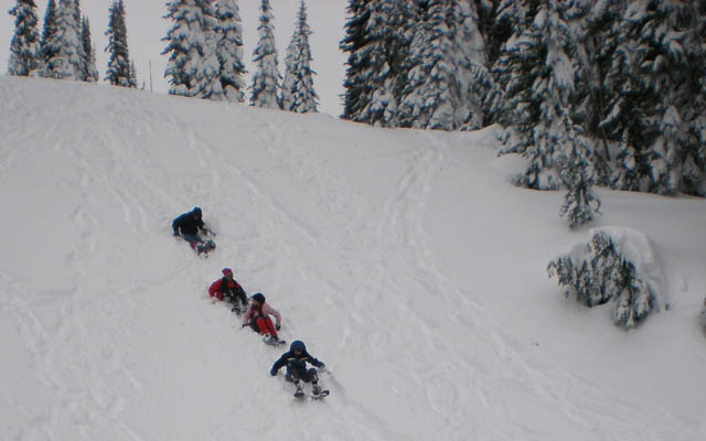 08Sliding_down_snow