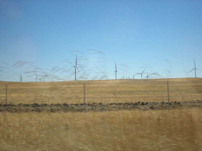 040wind_farm