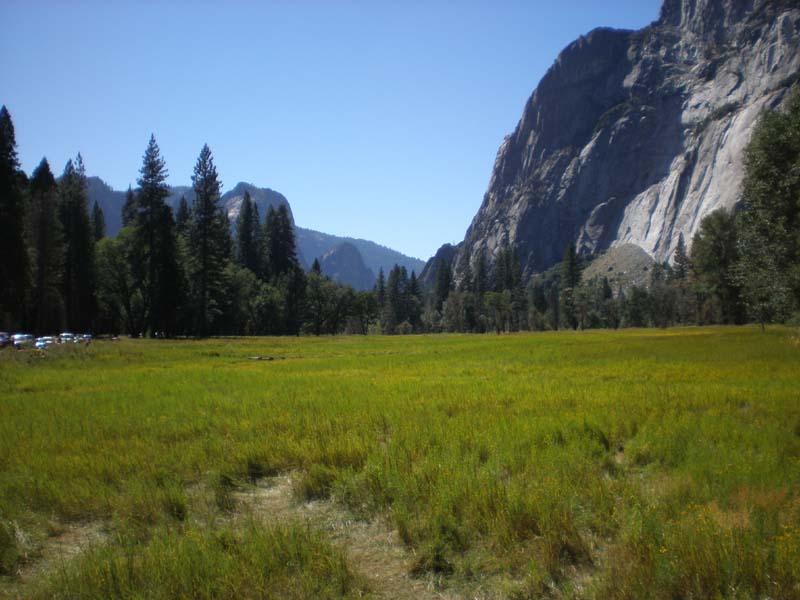 068meadow