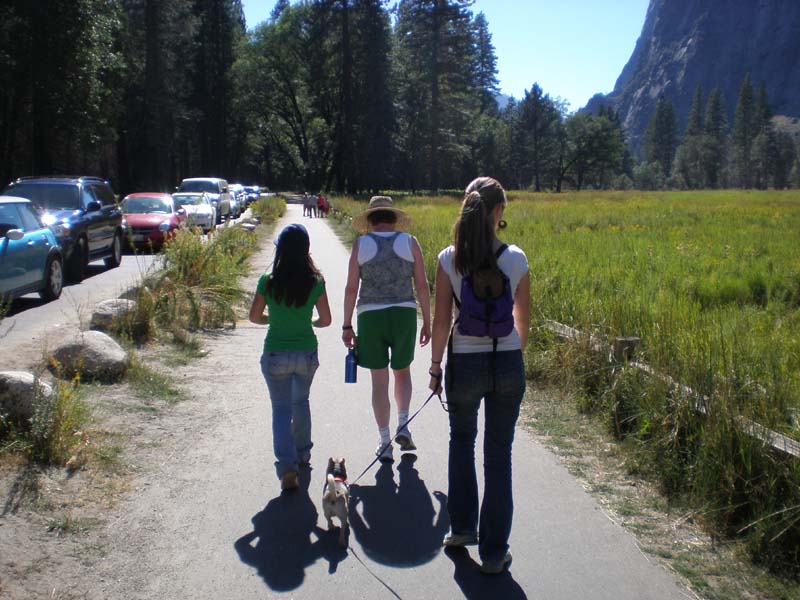 069walking_behind