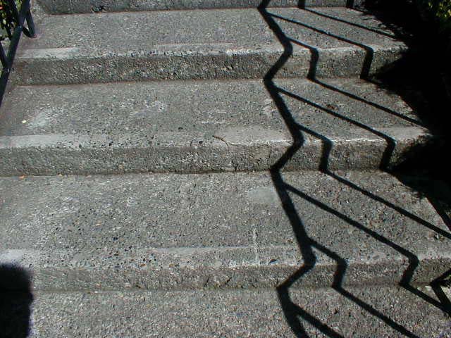 11_Lizard_on_step