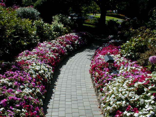 35_Path3
