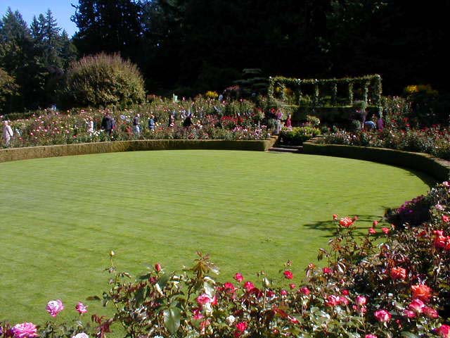 40_Rose_garden2
