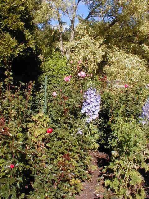 44_Flower-on-flower