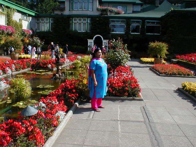 56_So_much_color