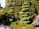52_Japanese_garden2